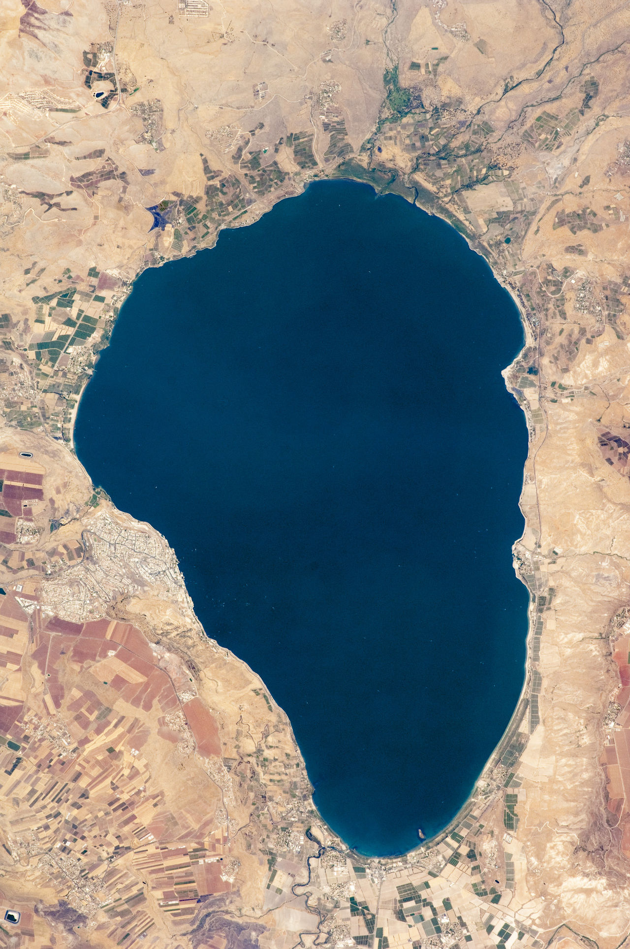 The calm expanse of the Sea of Galilee at first light, hills rising on the far shore.